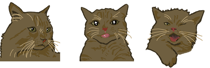 Cat character faces in the game
